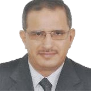 EMAD ELDIN EL-SEOUDI