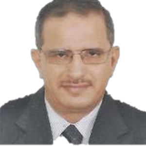 Emad Eldin El-Seoudi​
